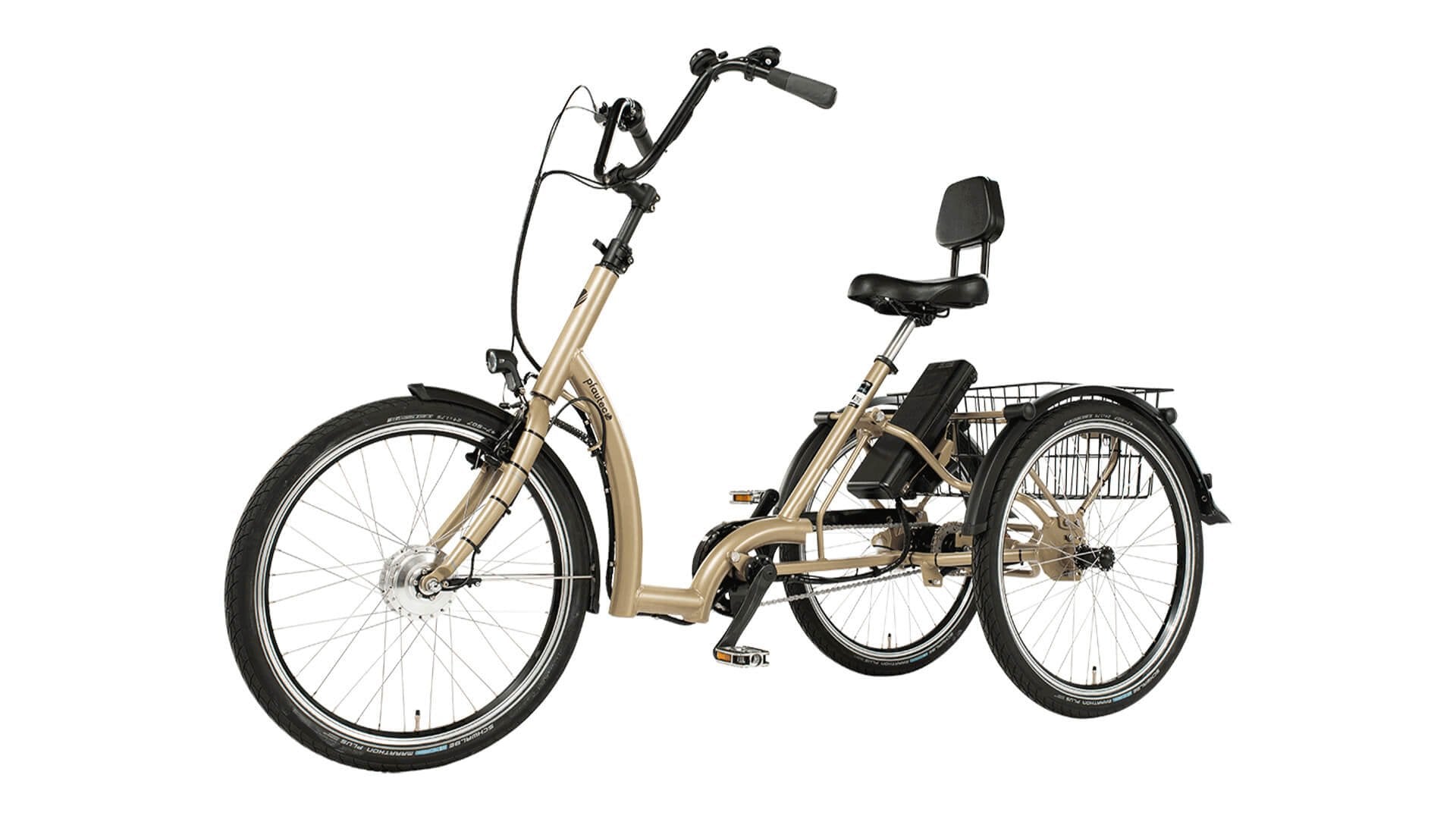 Triciclo elettrico Comfort FM