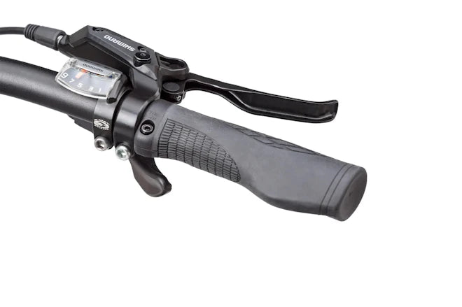 Tern Vektron Q9 (Satin Silver / Silver, 400Wh)