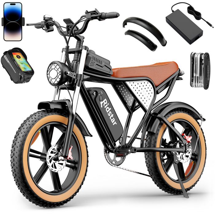 Bicicletta elettrica-20